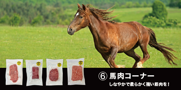 あなたの体を戦える状態にする。九州アスリート食品〈公式通販