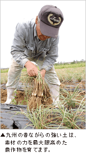 ����B�̐̂Ȃ���̋����y�́A�f�ނ̗͂��ő�����߂��_�앨����Ă܂��B